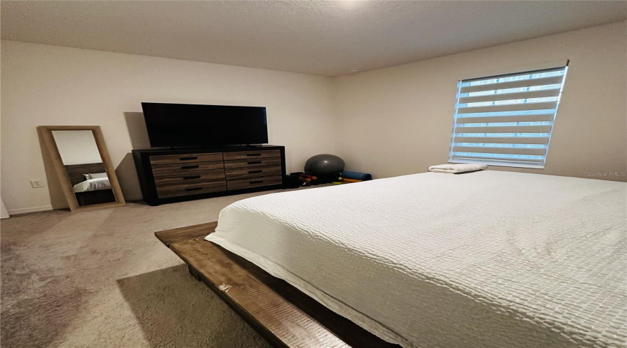 DAVENPORT, Florida 33837, 4 Bedrooms Bedrooms, ,3 BathroomsBathrooms,Residential,For Sale,BLAZING STAR,0,MFRS5141046