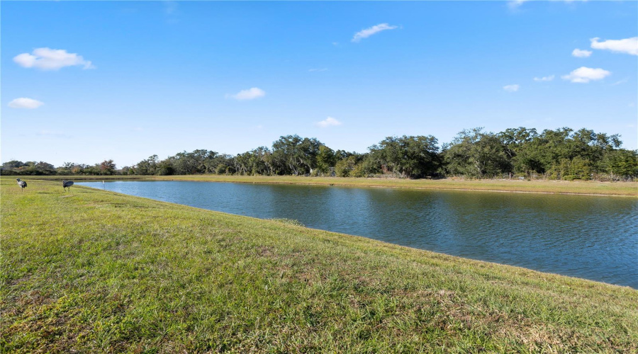 KISSIMMEE, Florida 34746, 3 Bedrooms Bedrooms, ,2 BathroomsBathrooms,Residential,For Sale,BIRNHAM WOOD,0,MFRS5141278