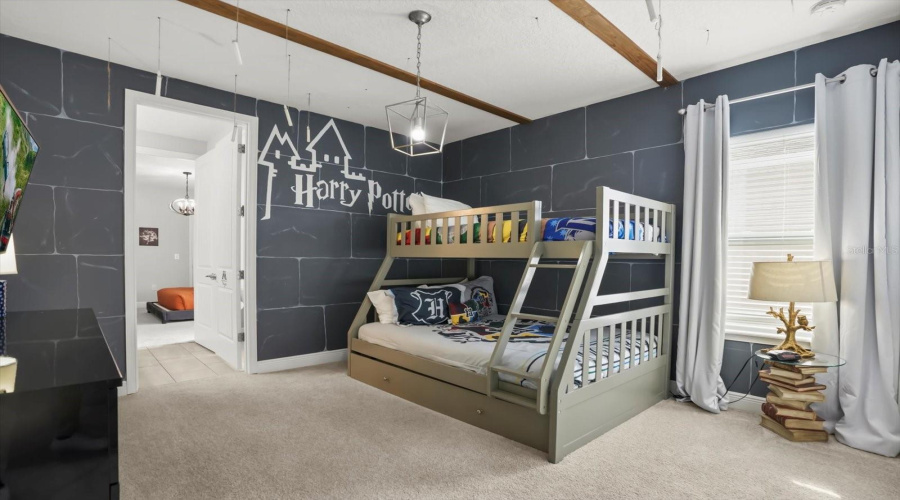 Themed room designed for entertainment and enjoyment.