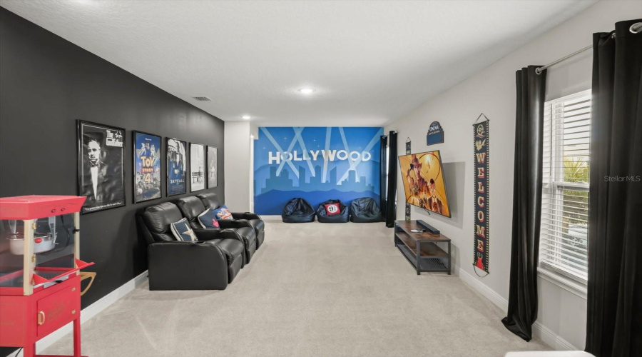 Entertainment space designed for relaxation and enjoyment.