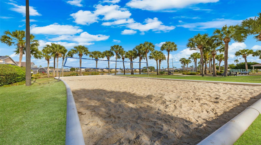 Volley Ball area