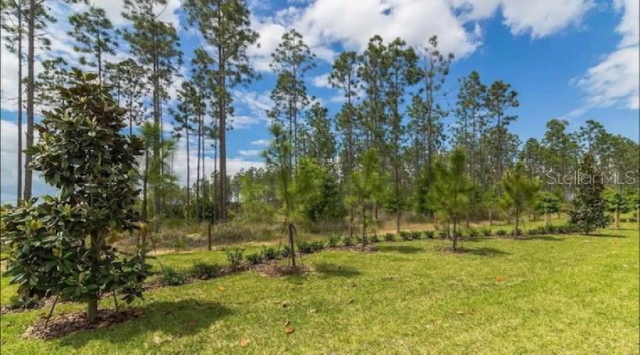 DAVENPORT, Florida 33896, 4 Bedrooms Bedrooms, ,3 BathroomsBathrooms,Residential,For Sale,PEBBLE BEACH,0,MFRO6330010