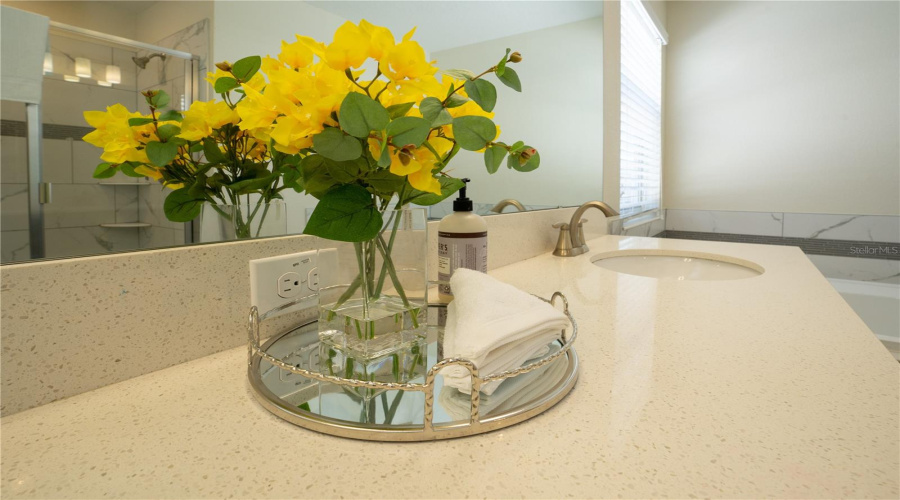 DAVENPORT, Florida 33896, 6 Bedrooms Bedrooms, ,5 BathroomsBathrooms,Residential,For Sale,MULLIGAN,0,MFRO6297920