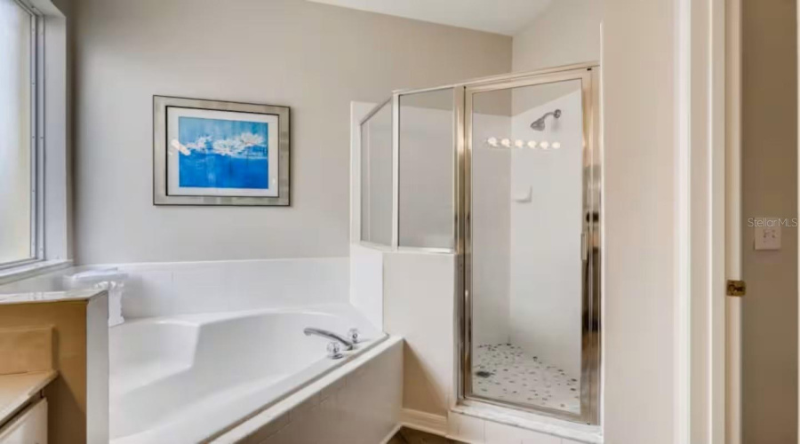 KISSIMMEE, Florida 34747, 7 Bedrooms Bedrooms, ,5 BathroomsBathrooms,Residential,For Sale,LA ISLA,0,MFRS5141940