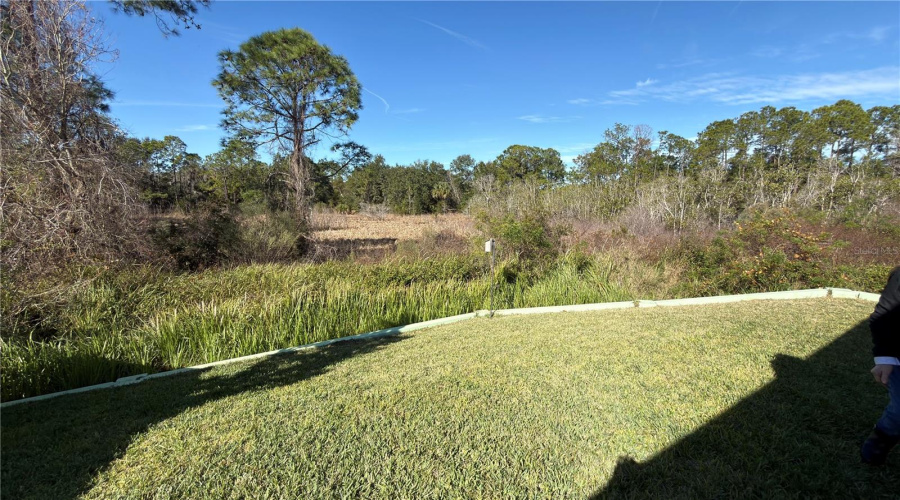 DAVENPORT, Florida 33837, 3 Bedrooms Bedrooms, ,2 BathroomsBathrooms,Residential,For Sale,CASCADE,0,MFRS5141969