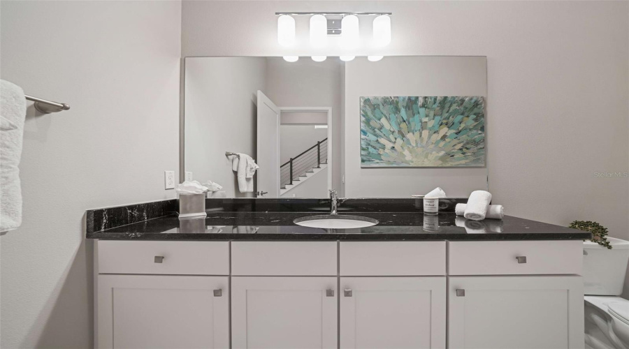 Downstairs half bathroom