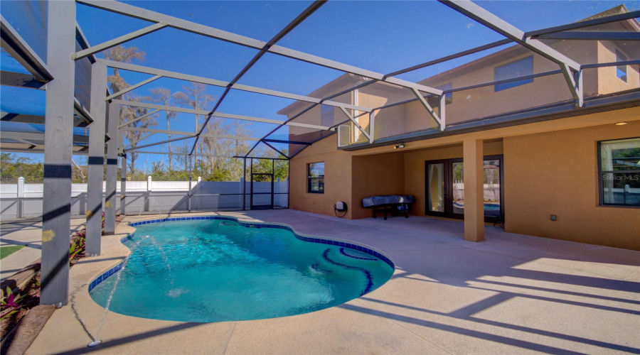 Pool and Backyard