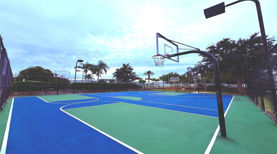 Basketball Court