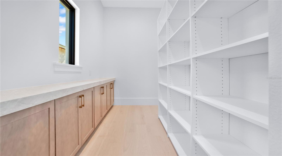 Messy Kitchen Area/Pantry
