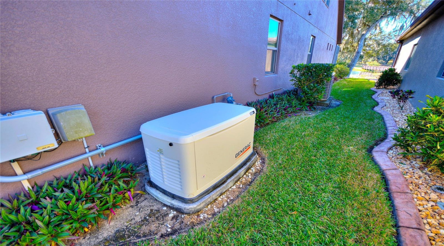 Generac Whole House Generator