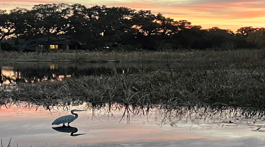 DAVENPORT, Florida 33837, 3 Bedrooms Bedrooms, ,3 BathroomsBathrooms,Residential,For Sale,MAGELLAN,0,MFRS5141674