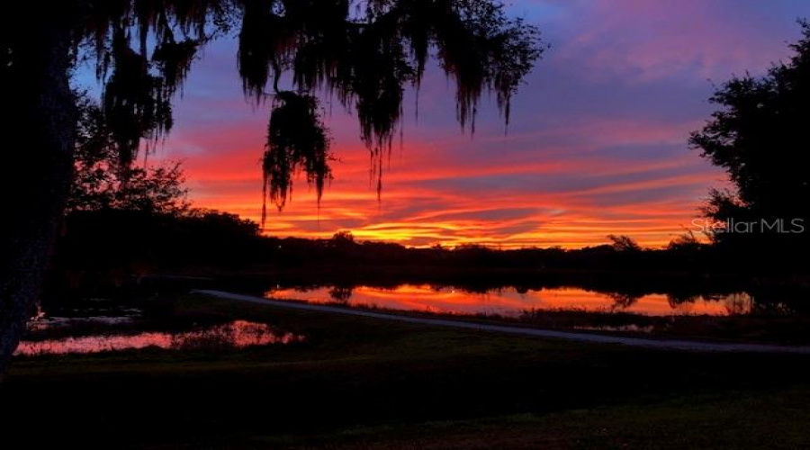 DAVENPORT, Florida 33837, 3 Bedrooms Bedrooms, ,3 BathroomsBathrooms,Residential,For Sale,MAGELLAN,0,MFRS5141674