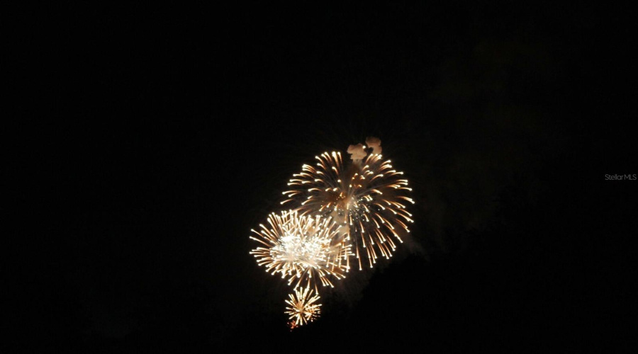 So Close to DISNEY - there are Fireworks Views from the Community!