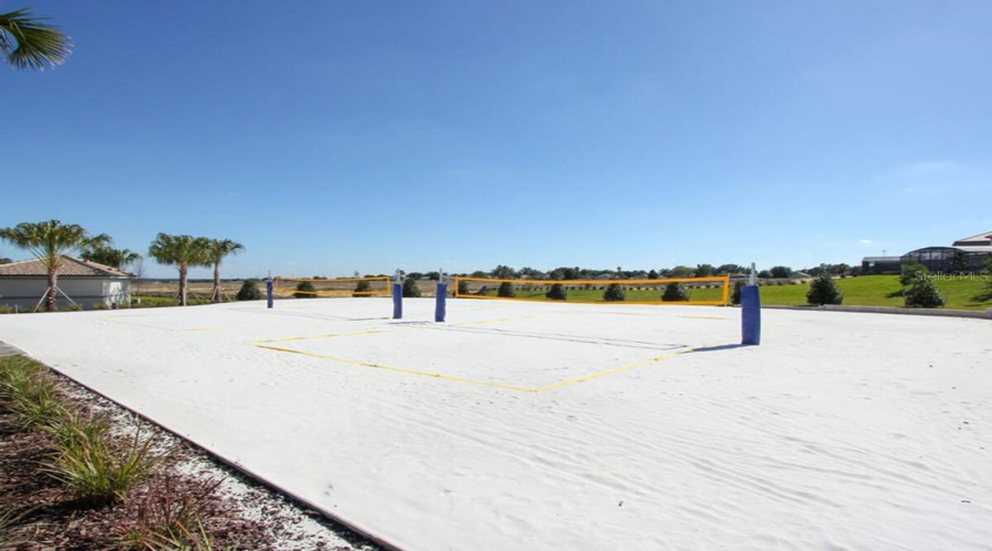 The Oasis - Volleyball