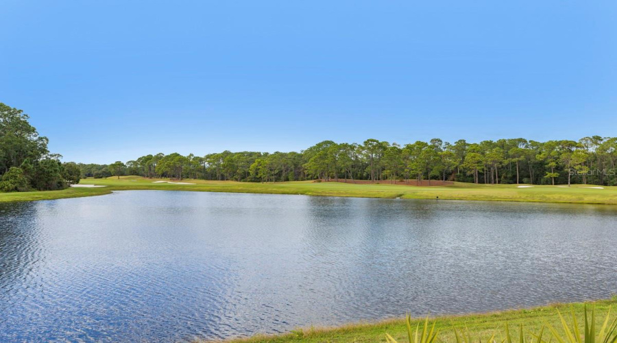 GOLDEN OAK, Florida 32836, 10 Bedrooms Bedrooms, ,14 BathroomsBathrooms,Residential,For Sale,ENCHANTED OAK,0,MFRO6366604