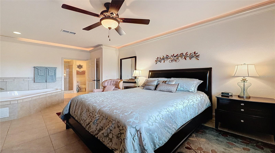 Downstairs Master Bedroom