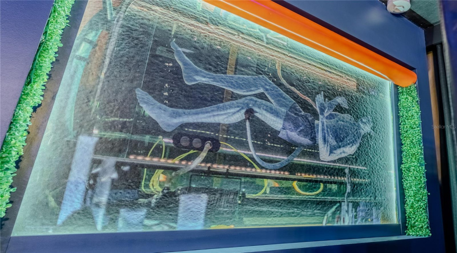 DAVENPORT, Florida 33897, 10 Bedrooms Bedrooms, ,8 BathroomsBathrooms,Residential,For Sale,LELANI,0,MFRO6376930