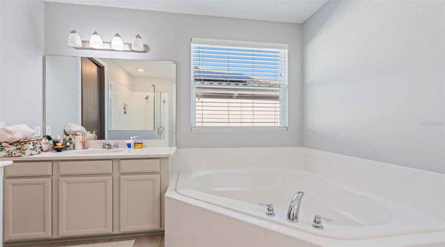 ORLANDO, Florida 32836, 5 Bedrooms Bedrooms, ,4 BathroomsBathrooms,Residential,For Sale,LUDINGTON,0,MFRO6377060