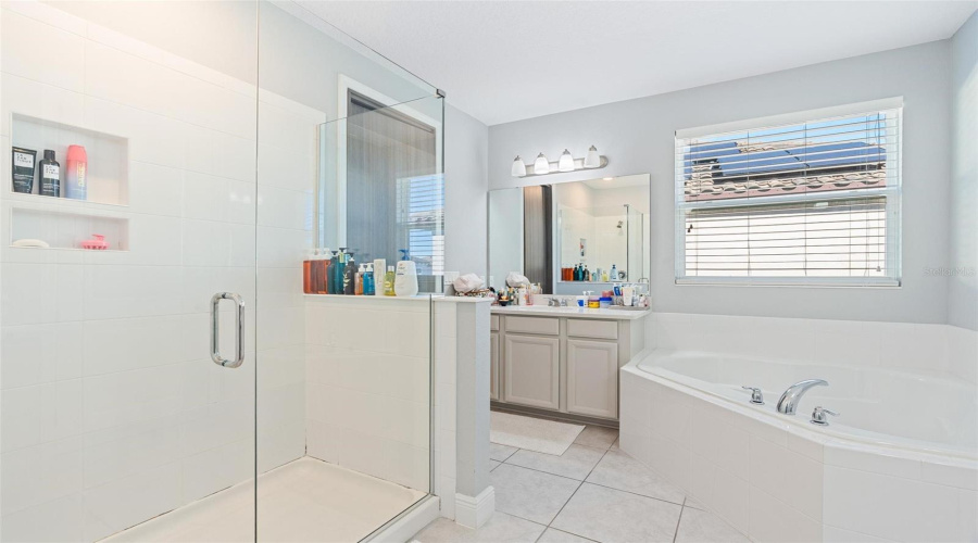 ORLANDO, Florida 32836, 5 Bedrooms Bedrooms, ,4 BathroomsBathrooms,Residential,For Sale,LUDINGTON,0,MFRO6377060