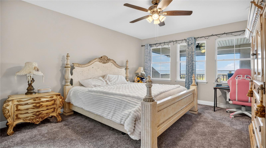 Junior primary bedroom with carpet flooring, ceiling fan, and natural light.