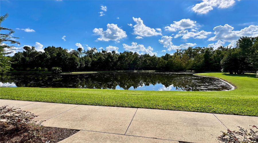 CELEBRATION, Florida 34747, 2 Bedrooms Bedrooms, ,2 BathroomsBathrooms,Residential,For Sale,WRIGHT,0,MFRO6378094