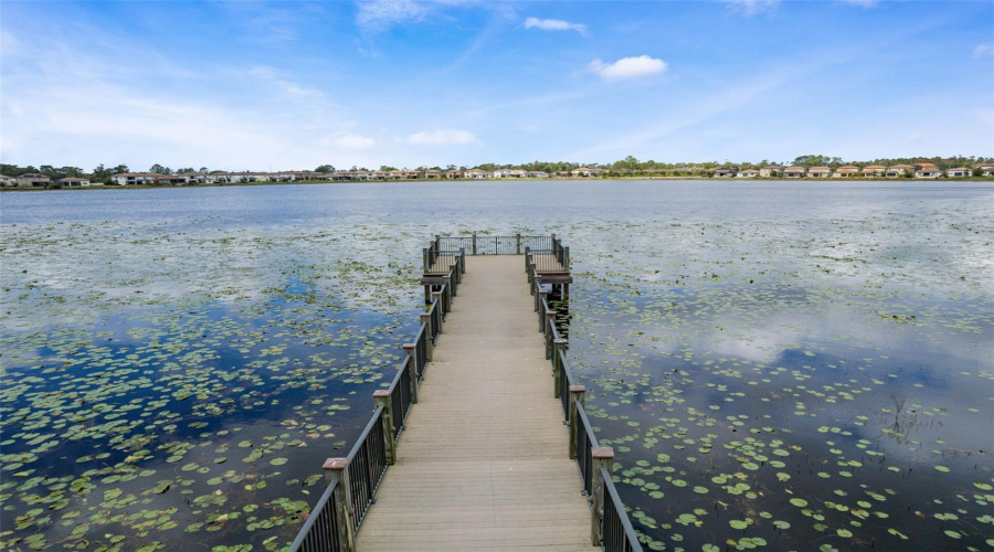 ORLANDO, Florida 32836, 4 Bedrooms Bedrooms, ,3 BathroomsBathrooms,Residential,For Sale,LEMON LAKE,0,MFRO6375590