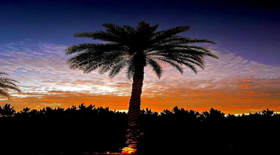 Sunsets at Deer Creek