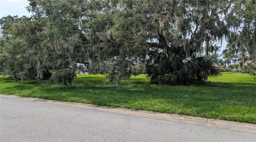 Shady green space across the street so no immediate neighbors in front of the home and no immediate neighbors in the rear of the home.