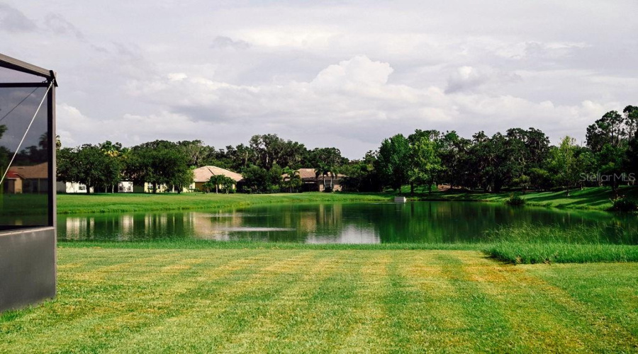 Plenty of yard for fun left outside the pool enclosure!