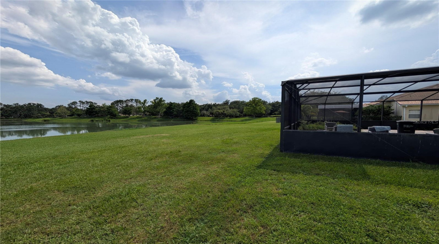 Plenty of space beyond the enclosure