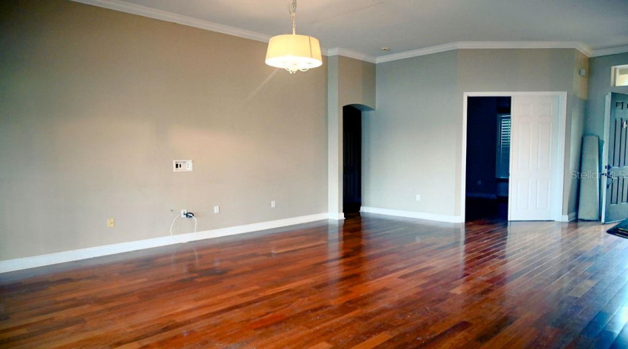 Wide open living room perfect for large furniture. Wood plank flooring throughout.