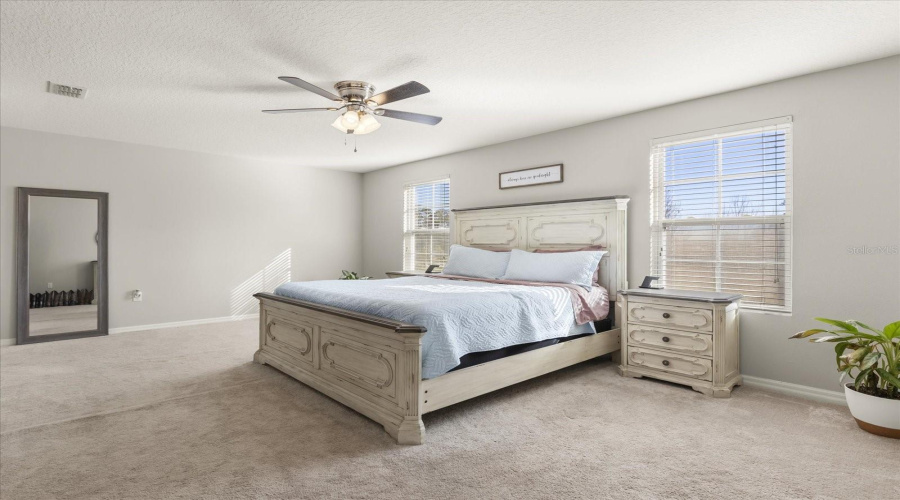 Primary Bedroom View 2