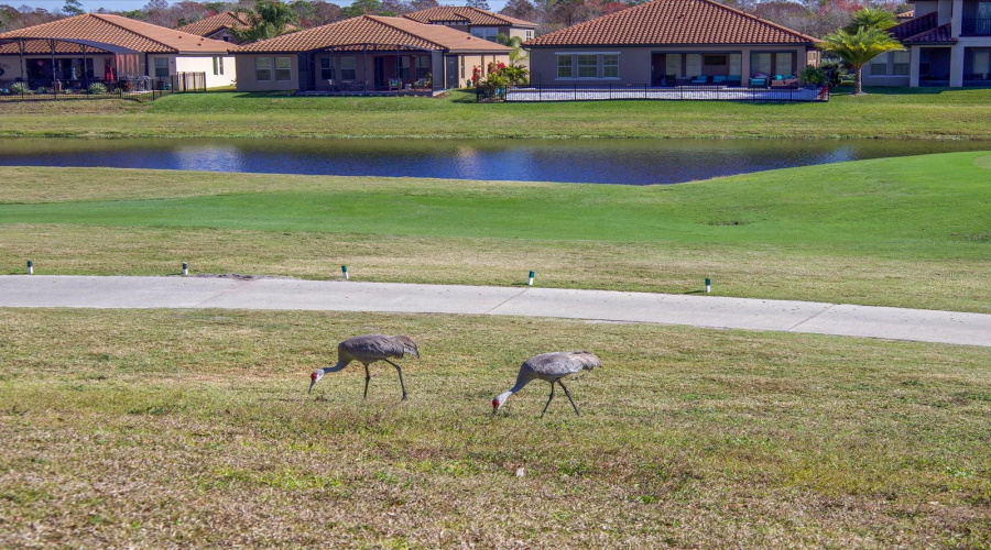 DAVENPORT, Florida 33837, 4 Bedrooms Bedrooms, ,3 BathroomsBathrooms,Residential,For Sale,CHADBURY,0,MFRO6378118