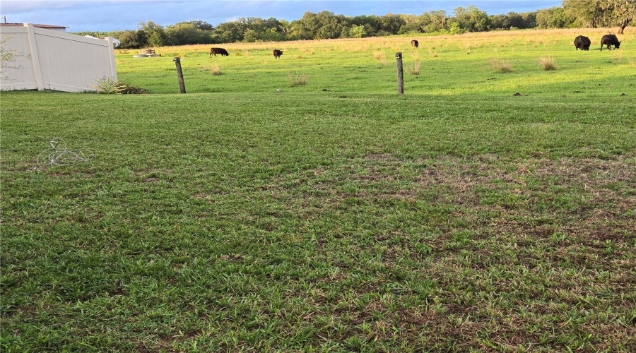 KISSIMMEE, Florida 34746, 3 Bedrooms Bedrooms, ,2 BathroomsBathrooms,Residential,For Sale,PERENNIAL,0,MFRS5134897