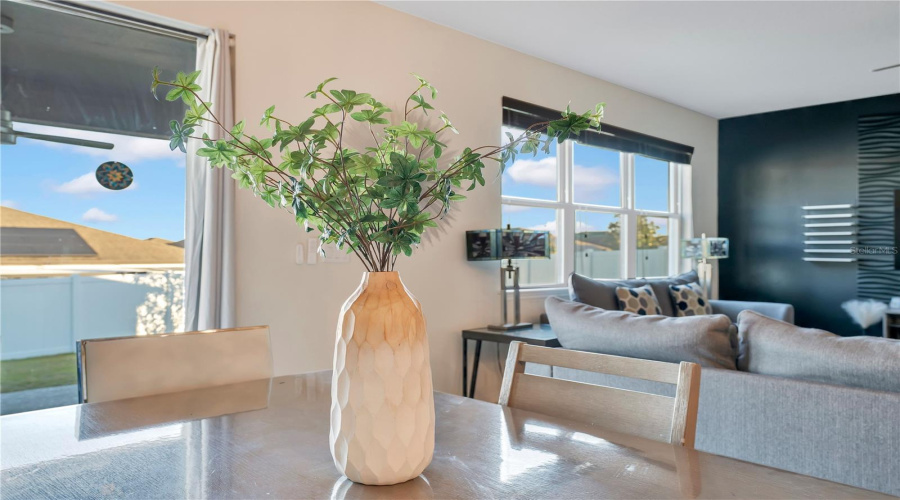 Light-Filled Interiors