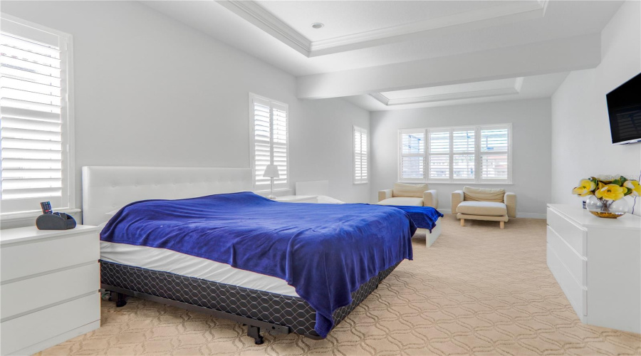 ORLANDO, Florida 32836, 5 Bedrooms Bedrooms, ,4 BathroomsBathrooms,Residential,For Sale,ROYAL CYPRESS,0,MFRO6352758