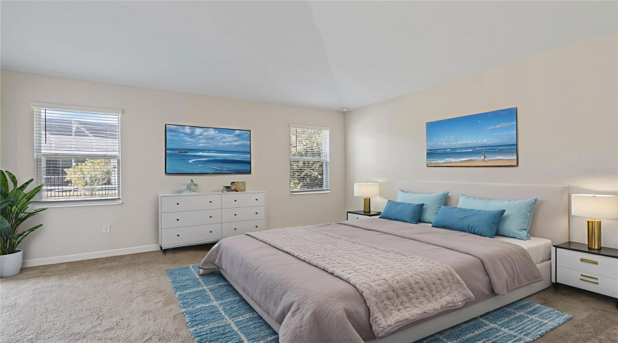 Virtual Staging Master suite