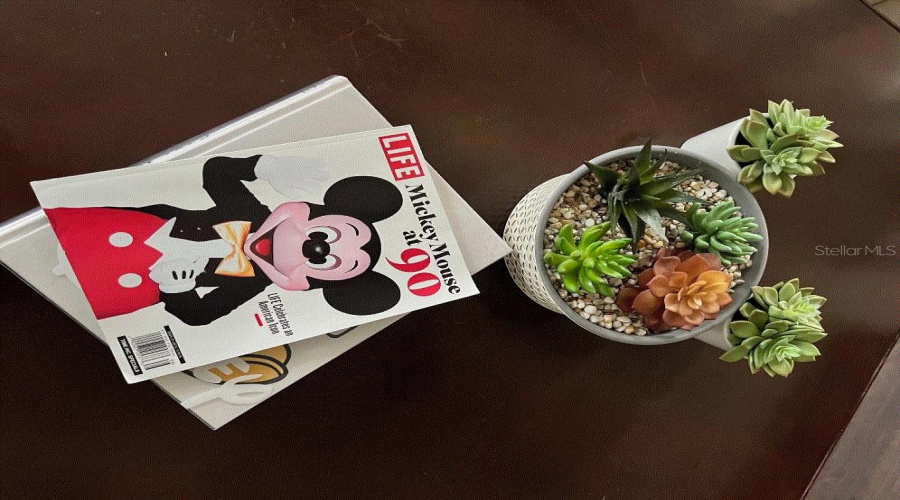 REUNION, Florida 34747, 5 Bedrooms Bedrooms, ,4 BathroomsBathrooms,Residential,For Sale,EXCITEMENT,0,MFRO6380003