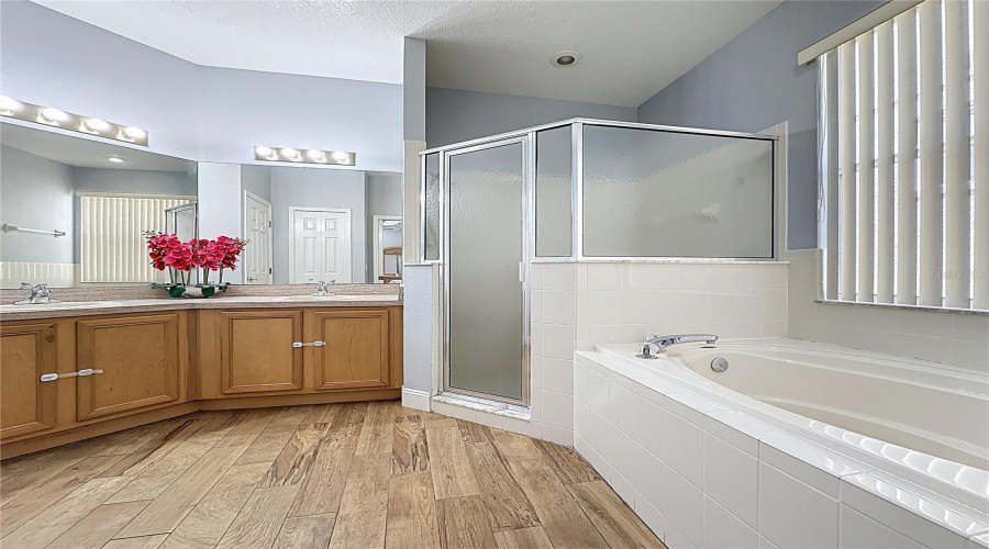 Owner's Suite Bath room with Shower and Garden Tub