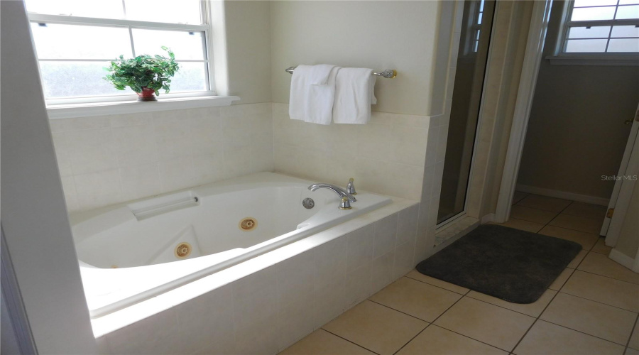 DAVENPORT, Florida 33897, 5 Bedrooms Bedrooms, ,5 BathroomsBathrooms,Residential,For Sale,VISTA,0,MFRS5143359