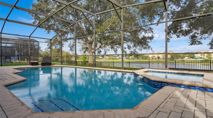 Beautiful view from the pool!