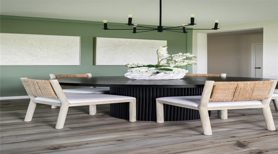 model home/virtually staged