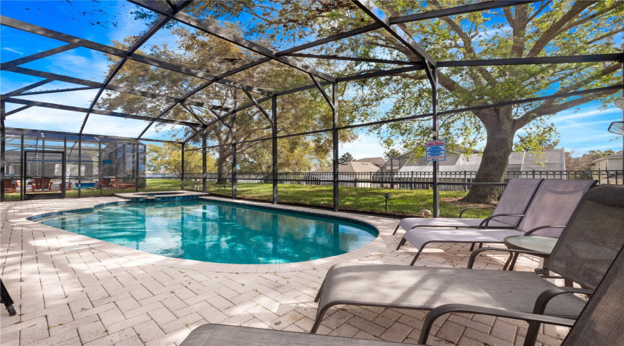 Fully screened in pool