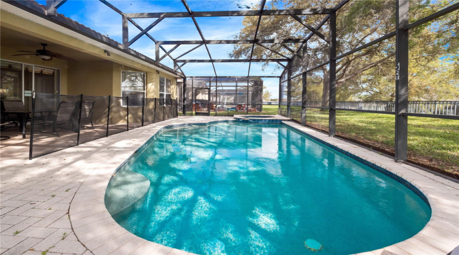 Fully screened in pool