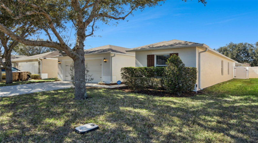 Freshly painted 2/26