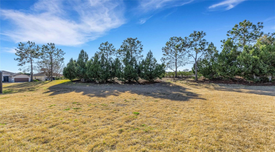 DAVENPORT, Florida 33837, 3 Bedrooms Bedrooms, ,2 BathroomsBathrooms,Residential,For Sale,ALICANTE,0,MFRS5143506