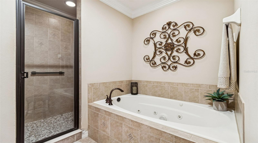 ORLANDO, Florida 32836, 3 Bedrooms Bedrooms, ,2 BathroomsBathrooms,Residential,For Sale,FALLSGROVE,0,MFRTB8459800