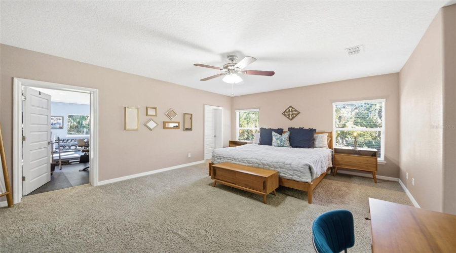 Master Suite that leads into the Home Gym