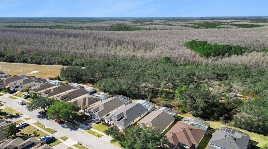 DAVENPORT, Florida 33897, 4 Bedrooms Bedrooms, ,3 BathroomsBathrooms,Residential,For Sale,NORTHAMPTON,0,MFRS5143716