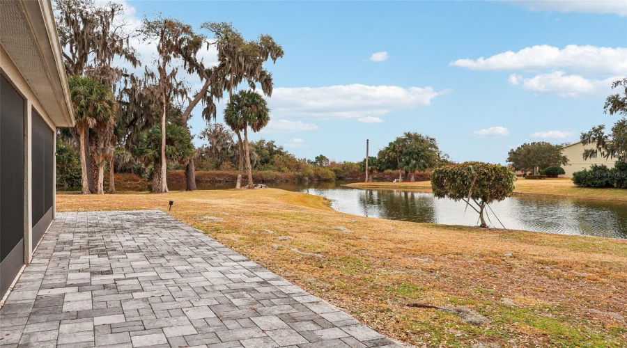 Bird Sanctuary from your lanai